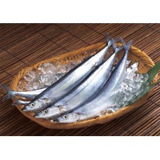 10K秋刀魚 Nama Sanma